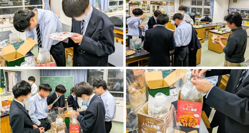 2511192　生物部11　本文